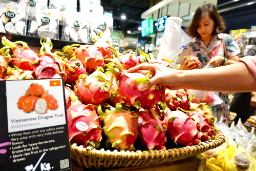 Thanh long Việt Nam bán trong siêu thị Tops Market của Central Plaza Grand Rama IX. Ảnh: Viễn Thông