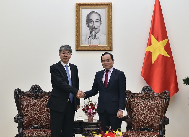 Việt Nam đề nghị IAEA tiếp tục hỗ trợ xây dựng chính sách, đào tạo nhân lực năng lượng nguyên tử- Ảnh 1.